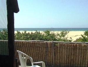 Beach Palm Grove Lodge